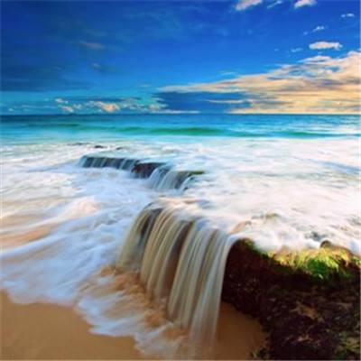 kok在线登陆官网