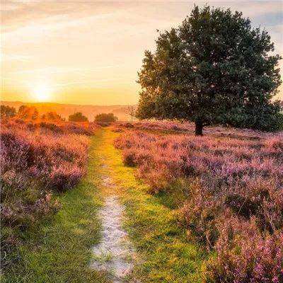 kaiyun体育官方下载